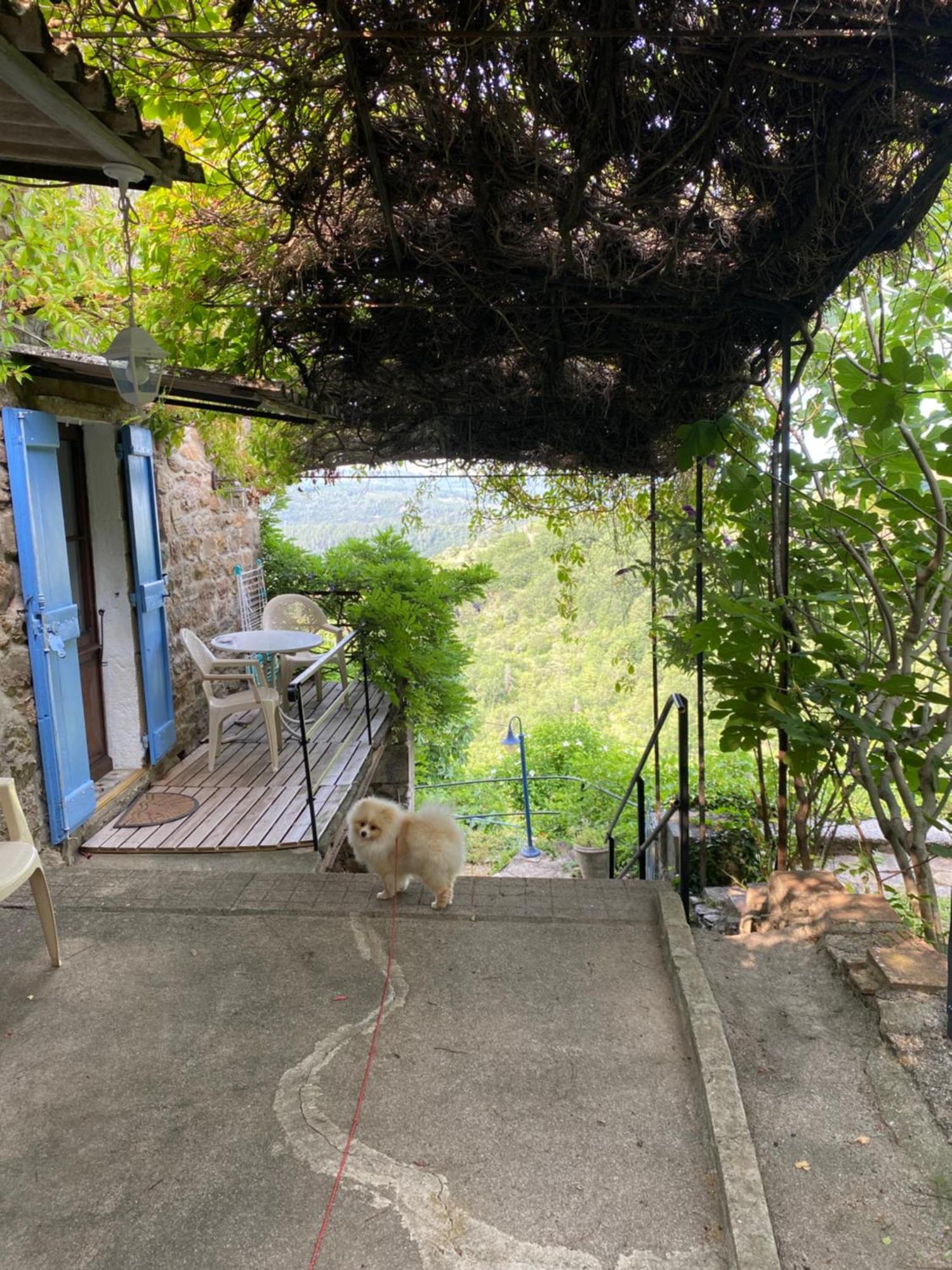 Lou-Pelou Villa Gravieres ภายนอก รูปภาพ
